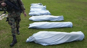PBB: 85 Anggota FARC Terbunuh di Kolombia Sejak Perjanjian Damai