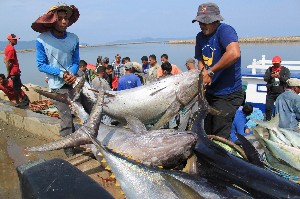 Pemerintah Dorong Nelayan dan UMKM Perkuat Usaha Perikanan