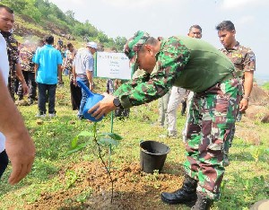 Dandim 0101/BS Tanam Ratusan Bibit Pohon di Desa Neuheun