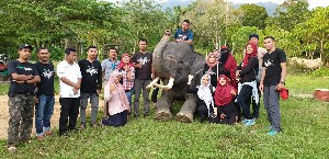 CRU Trumon Wisata Gajahnya Yang Bersahabat