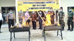 Polsek Karang Baru Musnahkan Barang Bukti Ganja 20 Kg