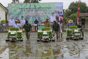 Aceh Surplus Gabah 1,3 ton per Tahun