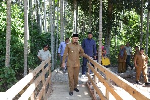 Bupati Aceh Besar Meninjau Jembatan Siron