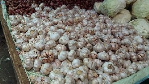 Harga Bawang Putih di Aceh Tamiang Berangsur Turun