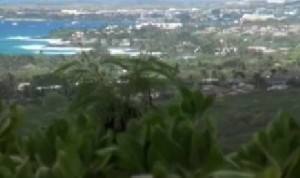 Pesawat Jatuh di Hawai, 9 Penumpangnya Tewas