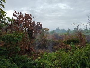 Total Areal Lahan Terbakar di Nagan Raya 34 Hektar