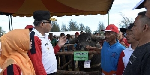 Plt Gubernur Apresiasi Kinerja Pelaku Peternakan di Aceh