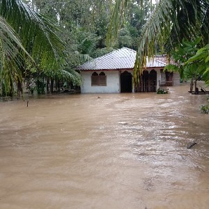 Banjir Landa Empat Kecamatan di Bireuen