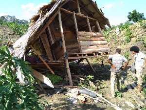 Gajah Rusak Kebun Petani di Indra Makmu