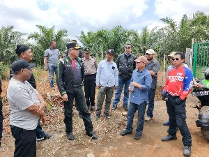 Nova Tinjau Lokasi Agrowisata Peternakan di Belang Kuyu