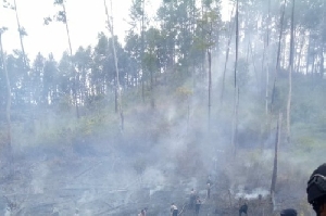 16 Titik Panas Muncul di Aceh