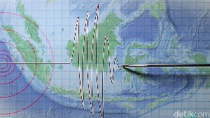 BMKG: 239 Kali Gempa Susulan Terjadi di Ambon