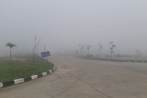 Kabut Asap Kebakaran Hutan Mulai Sampai ke Aceh Tengah