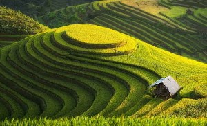Penguatan Perdamaian Aceh Melalui Reforma Agraria