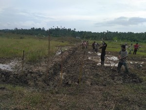 Waduk Paya Sikameng Jebol, 160 Hektar Sawah Warga Berlumpur