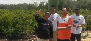 Anggota DPD Abdullah Puteh Bersama Walikota Langsa Tinjau Hutan Mangrove