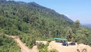 Pemkab Aceh Tamiang Jadikan Bukit Awan Bengkelang Pusat Tanaman Buah