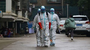 Pemerintah Diminta Desak WHO Tetapkan Penyebaran Virus Corona Darurat Global